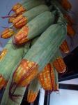 Kukurydze w warkoczu